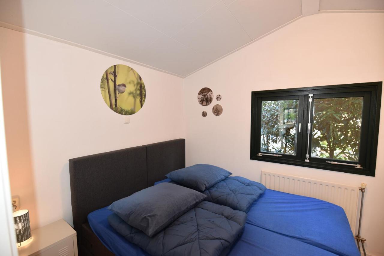 Chalet Albatros Diever Eksteriør bilde